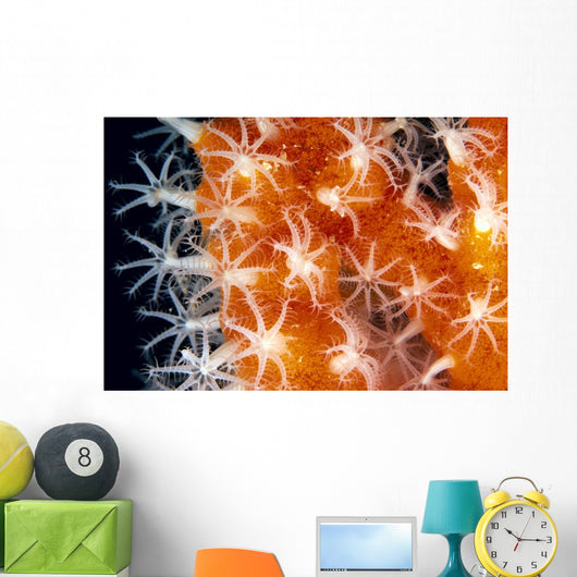 Detailed View Of Pink Sponge Covered Gorgonian Coral Wall Mural