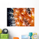 Detailed View Of Pink Sponge Covered Gorgonian Coral Wall Mural