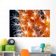 Detailed View Of Pink Sponge Covered Gorgonian Coral Wall Mural