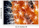 Detailed View Of Pink Sponge Covered Gorgonian Coral Wall Mural