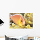 Close-Up Of Pale Orange Anemonefish In Anemone Wall Mural