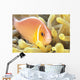 Close-Up Of Pale Orange Anemonefish In Anemone Wall Mural