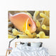 Close-Up Of Pale Orange Anemonefish In Anemone Wall Mural