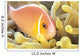 Close-Up Of Pale Orange Anemonefish In Anemone Wall Mural