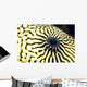 Extreme Close-Up Of The Eye Of A Map Pufferfish Wall Mural