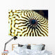 Extreme Close-Up Of The Eye Of A Map Pufferfish Wall Mural
