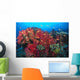Colorful Reef Scene With Alcyonarian Coral, School Of Anthias Wall Mural