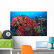 Colorful Reef Scene With Alcyonarian Coral, School Of Anthias Wall Mural
