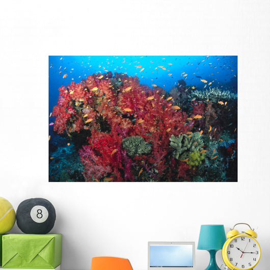 Colorful Reef Scene With Alcyonarian Coral, School Of Anthias Wall Mural