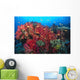 Colorful Reef Scene With Alcyonarian Coral, School Of Anthias Wall Mural