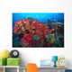 Colorful Reef Scene With Alcyonarian Coral, School Of Anthias Wall Mural