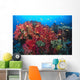 Colorful Reef Scene With Alcyonarian Coral, School Of Anthias Wall Mural