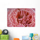 Canada, British Columbia, Crimson Anemone Extreme Close-Up Wall Mural
