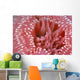 Canada, British Columbia, Crimson Anemone Extreme Close-Up Wall Mural