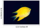 Fiji, Golden Damselfish Swimming Upward Wall Mural