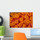 Indonesia, Close-Up Top View Of Orange Tube Coral Wall Mural