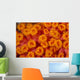 Indonesia, Close-Up Top View Of Orange Tube Coral Wall Mural