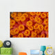 Indonesia, Close-Up Top View Of Orange Tube Coral Wall Mural