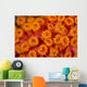 Indonesia, Close-Up Top View Of Orange Tube Coral Wall Mural