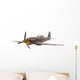 Airplane Model Isolated Wall Decal