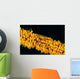 Indonesia, Goby On Wire Coral, Black Background, Wall Mural