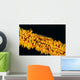 Indonesia, Goby On Wire Coral, Black Background, Wall Mural