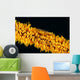Indonesia, Goby On Wire Coral, Black Background, Wall Mural