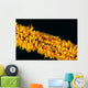 Indonesia, Goby On Wire Coral, Black Background, Wall Mural