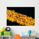 Indonesia, Goby On Wire Coral, Black Background, Wall Mural