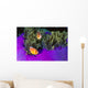 Malaysia, Anemonefish And Anemone Pair Wall Mural