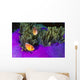 Malaysia, Anemonefish And Anemone Pair Wall Mural