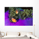 Malaysia, Anemonefish And Anemone Pair Wall Mural
