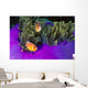 Malaysia, Anemonefish And Anemone Pair Wall Mural
