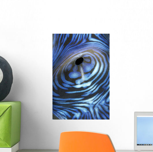 Australia, Exhaust Opening Of Giant Tridacna Clam, Wall Mural