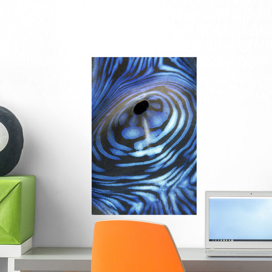 Australia, Exhaust Opening Of Giant Tridacna Clam, Wall Mural