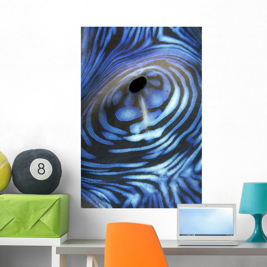Australia, Exhaust Opening Of Giant Tridacna Clam, Wall Mural