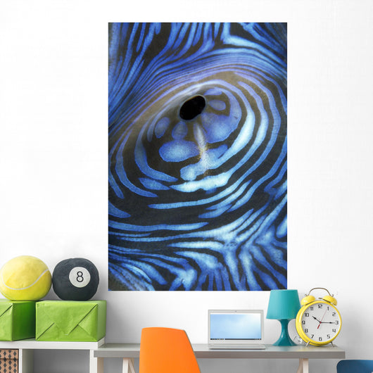 Australia, Exhaust Opening Of Giant Tridacna Clam, Wall Mural