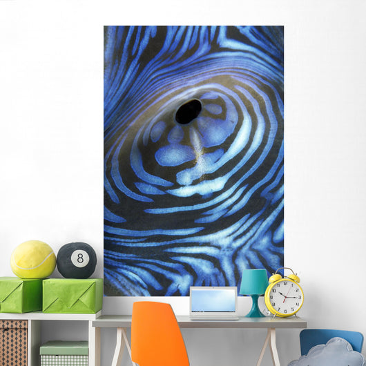 Australia, Exhaust Opening Of Giant Tridacna Clam, Wall Mural