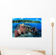 Fiji, Over/Under Reef Scene, Angelfish, Pygoplites Diacanthus Wall Mural