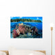 Fiji, Over/Under Reef Scene, Angelfish, Pygoplites Diacanthus Wall Mural