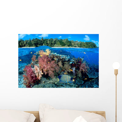 Fiji over under Reef Wall Mural shown on a wall