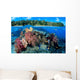 Fiji, Over/Under Reef Scene, Angelfish, Pygoplites Diacanthus Wall Mural
