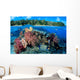 Fiji, Over/Under Reef Scene, Angelfish, Pygoplites Diacanthus Wall Mural