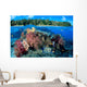 Fiji, Over/Under Reef Scene, Angelfish, Pygoplites Diacanthus Wall Mural