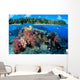 Fiji, Over/Under Reef Scene, Angelfish, Pygoplites Diacanthus Wall Mural