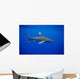 Hawaii, Oceanic Whitetip Shark Side View C2044 Wall Mural