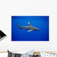 Hawaii, Oceanic Whitetip Shark Side View C2044 Wall Mural