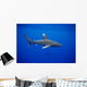 Hawaii, Oceanic Whitetip Shark Side View C2044 Wall Mural