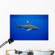 Hawaii, Oceanic Whitetip Shark Side View C2044 Wall Mural