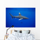 Hawaii, Oceanic Whitetip Shark Side View C2044 Wall Mural